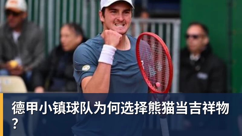 德甲小镇球队为何选择熊猫当吉祥物？