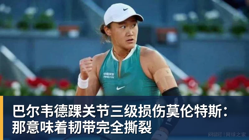 巴尔韦德踝关节三级损伤莫伦特斯：那意味着韧带完全撕裂
